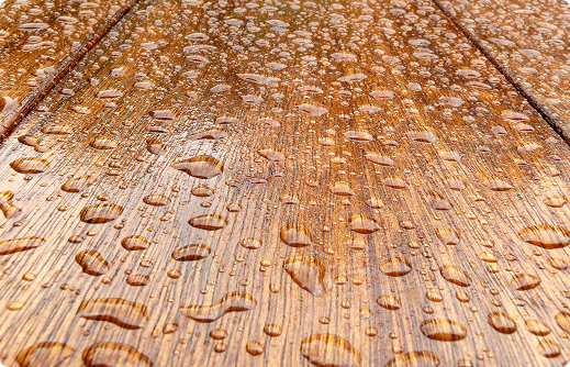 Wood Protection
